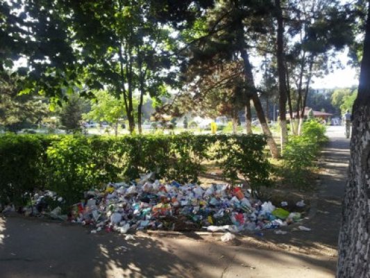 Arunci gunoiul la întâmplare? Ai putea lua amendă de 2.500 de lei!